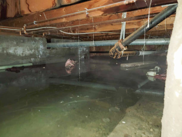 Trusted Harrisburg, IL Water damage restoration Experts