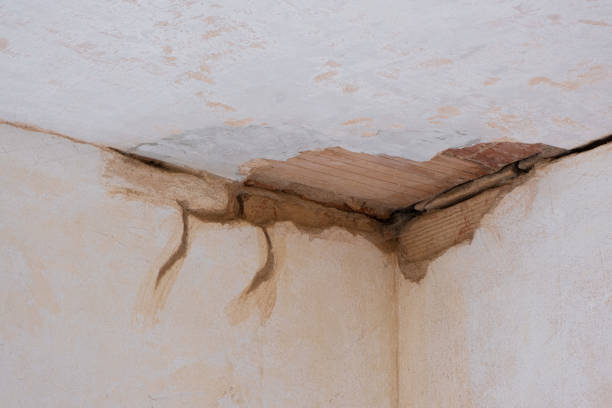 Professional Water damage restoration in Harrisburg, IL